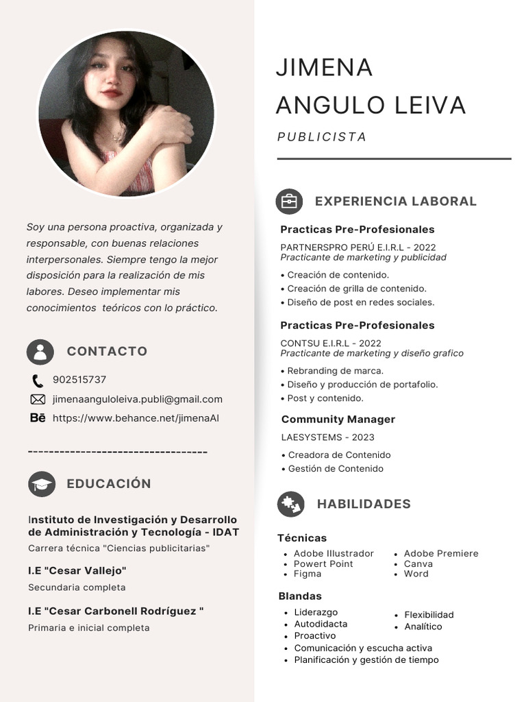 Practicante Community Manager en Laesystems | PDF
