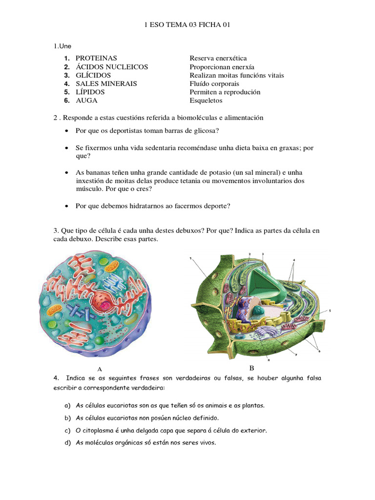 Ficha 01 Biomolec e CÉLULA | PDF
