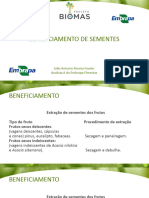 Beneficiamento de Semestes