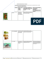 Rahernan - ACTIVIDAD 4 .CONDICIONES AGROECOLÓGICAS. CUADRO CLASIFICACIÓN DE INSECTOS