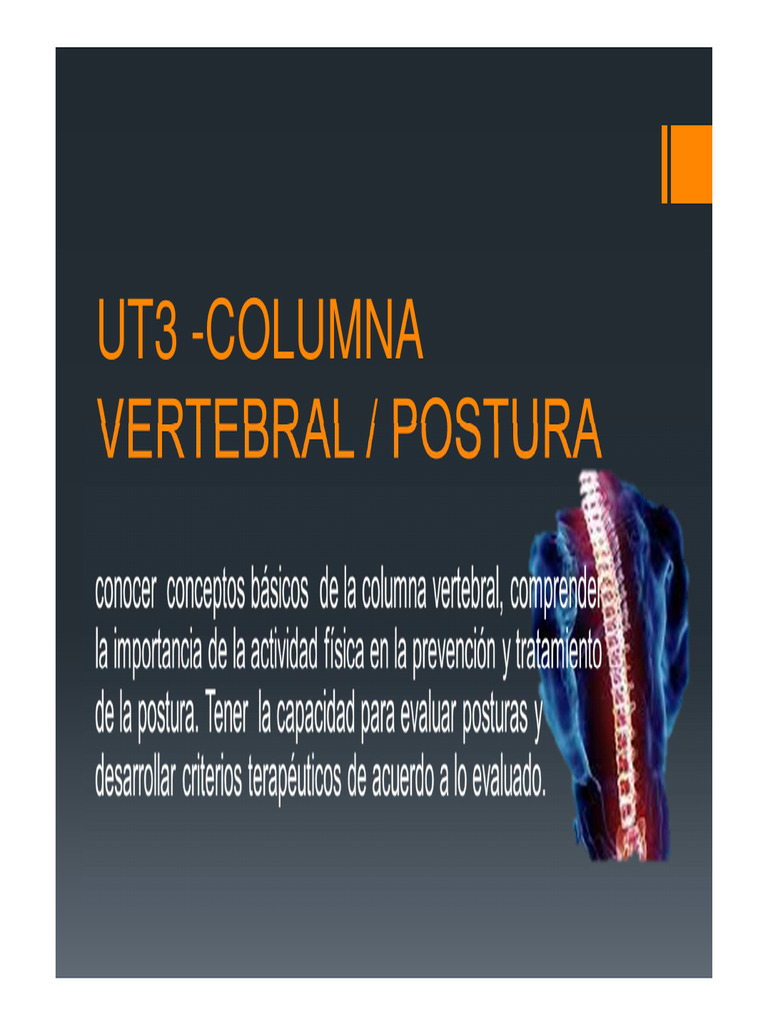 Anatomía y Evaluación de la Postura | PDF