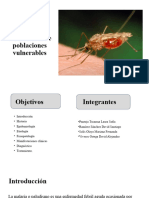 Malaria - Seminario