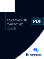 Relatório - Taxação de Carbono