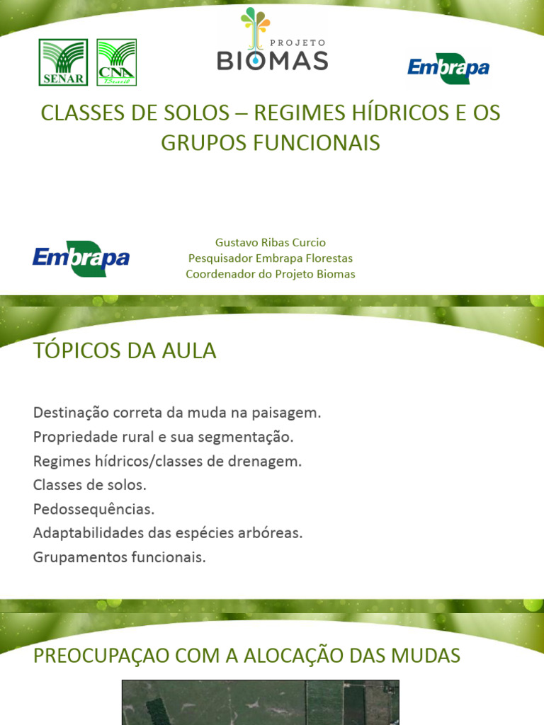 Hidromorfia e Classes de Solos | PDF | Drenagem | Solo