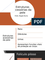 Tricologia - Estudos Dos Fios - Parte 2