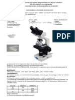 Practica Microscopio