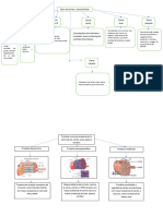 Mapa Conceptual