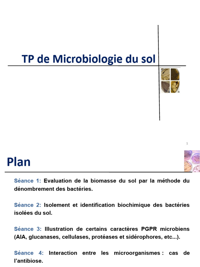 TP de Microbiologie du Sol: Méthodes et Analyses | PDF | Sol (pédologie ...