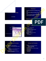 Normal Histology Anatomy