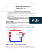 CV 3 Circulatory System Notes Copyright