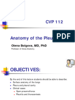 A19. Anatomy of The Pleura