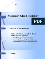 Mammary Gland - Histology - Nto, Nto Johnson