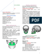 Resumos Esplacnologia