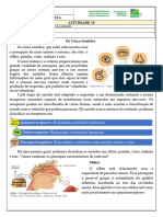 Atividade 15 6o Ano CIE Sistema Sensorial