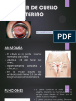 Cáncer de Cuello Uterino