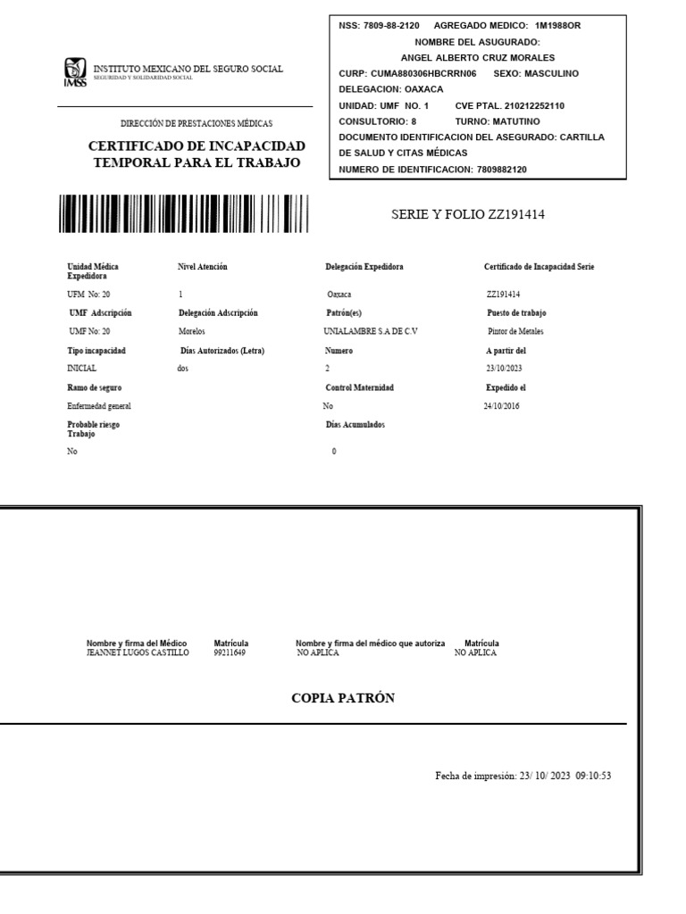 Formato Editable de Incapacidad IMSS | PDF | Cuidado de la salud ...