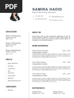 Professional Modern CV Resume