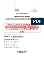 Caracterisation Pomologique de Quelques Genotypes Du Caroubier de La Collection de Ain Taoujdate
