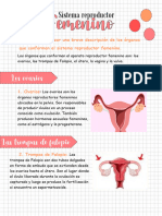 Sistema Reproducto Femenino