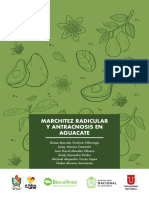 RIUT-2020-Marchitez Radicular y Antracnosis en Aguacate