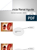 Insuficiência Renal Aguda