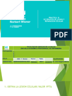 3 Practica Regeneracion Lesion Tejido Tisular DR Jose Molina