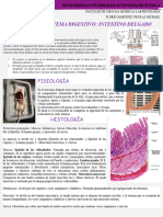 I01ficha Histologica Intestino Delgado-Flores Martinez Nicolas