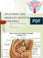 Anatomia Del Ap Genital 2021