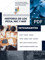 Diapositivas Pgca Nic y Niif