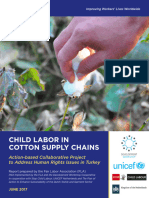 Child Labor in Cotton Supply Chains June 2017