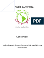 Economía Ambiental