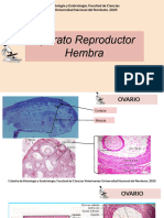 Atlas - Aparato Reproductor de Hembra