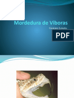 Mordedura de Viboras