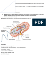 Types of Cell