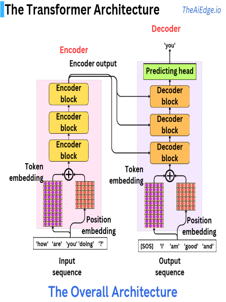 The Transformer Architecture | PDF | Learning | Cognitive Science