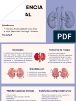 Insuficiencia Renal