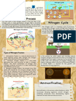 Nitrogen Fixation Process Nitrogen Cycle: Ammonification