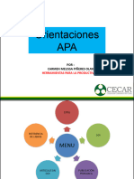 Orientaciones APA