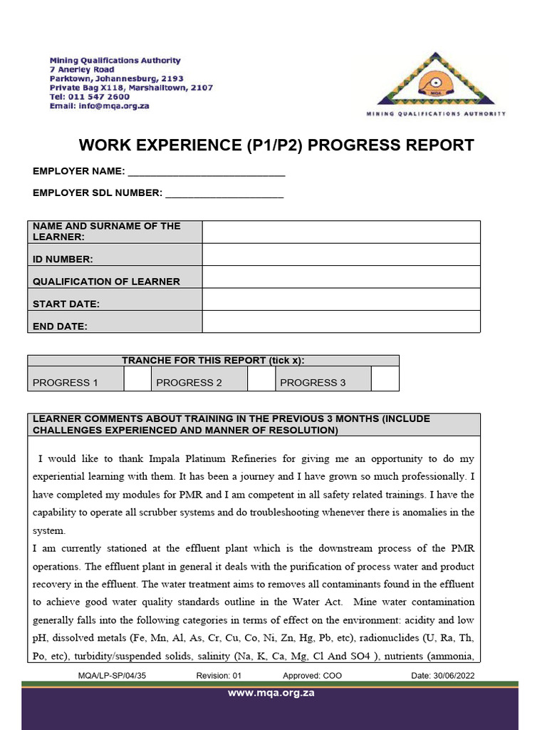 Work Experience Progress Report | PDF | Combustion | Fires