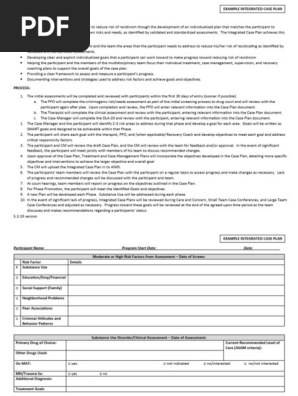 Integrated-Case-Plan-Template DTC
