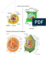 PDF Sel Hewan Dan Sel Tumbuhan - Compress