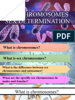 Sex Chromosomes Liked Determination Limited Influenced