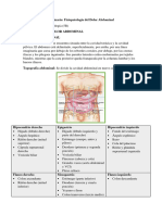 SEMINARIO No.2 FISIOPATOLOGÍA