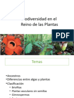 Clase Expositiva 8 Biodiversidad Plantas 2023-II