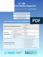 Espacio Optativo - Unidades Curriculares Final