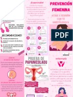 Triptico Sobre PREVENCION FEMENINA