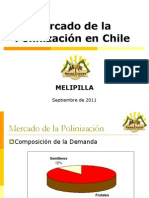 Mercado de la Polinización 