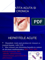 CURS 18 Hepatite+parazitoze