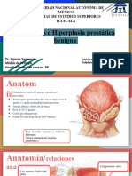Prostatitis e Hiperplasia Prostatica