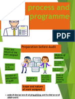 Audit Process and Programme